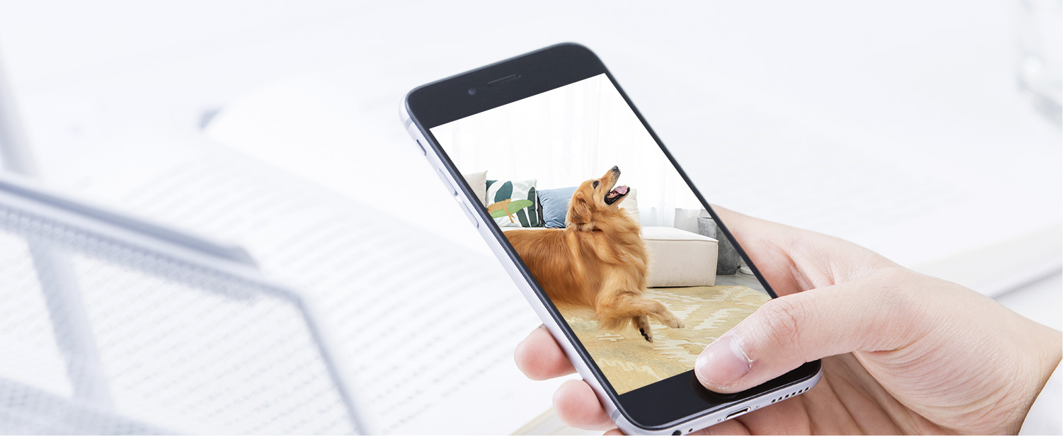 實時監控 實時監控